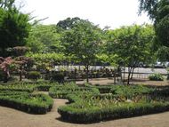 監物台植物園へGO