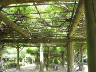 監物台植物園へGO