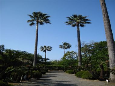 一瞬、ここが熊本であることを忘れます