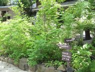 島田美術館へ。