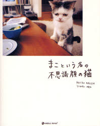 まこという名の不思議顔の猫