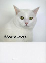Ebony and Irony & i love,cat