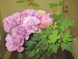 きょうのお花。