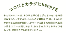 わた花マルシェ開催します♪