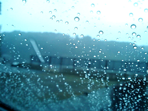 雨の雫