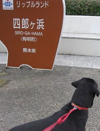 天草へ行ってきました♪