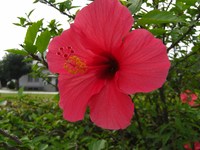 天草へ行ってきました♪