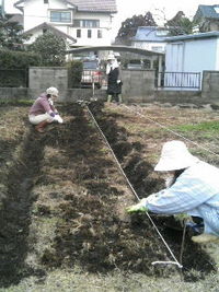 ぼちぼち農園（にしごうし）