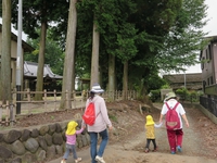 ＜散歩活動＞