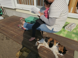 猫のミケちゃんと犬のチロちゃん* 猫のミケちゃんと犬のチロちゃん*