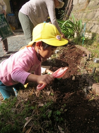 ☆花植え、優しく豊かな心☆ 2015/11/12 17:22:01