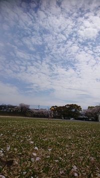 おひさま保育園☀️始まりました！ 2019/04/08 18:03:08