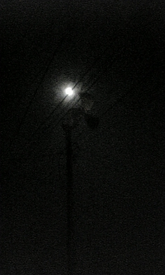 月夜の散歩♪