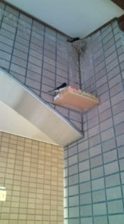 二階建て♪