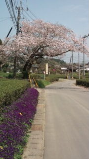 3月31日。