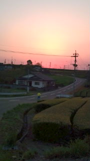 今日の夕焼け♪