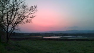 今日の夕焼け♪