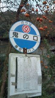 球磨村の棚田♪