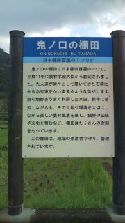 球磨村の棚田♪