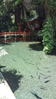 鹿児島湯活報告(後編)