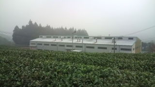 霜月26日