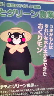 今日のくまモン♪