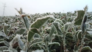 2011年12月20日(火)晴れ♪