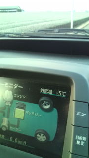 −5℃!