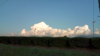早くも入道雲!!