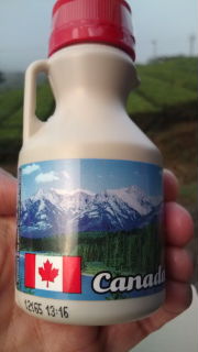 ♪FROM CANADA♪