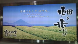 畑を歩けば……♪