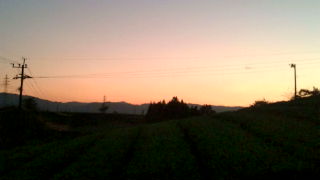 いづこもおなじ、秋の夕暮れ♪