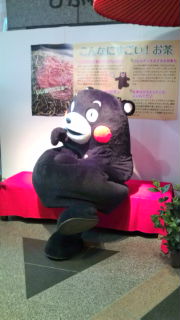 全国一斉お茶いっぱいの日♪