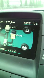 今朝は、11℃!