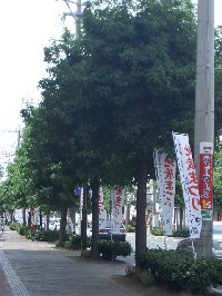 宇土地蔵まつり・・・