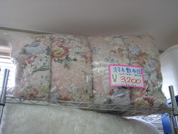 風で飛ばされちゃったらどうしよう・・・・