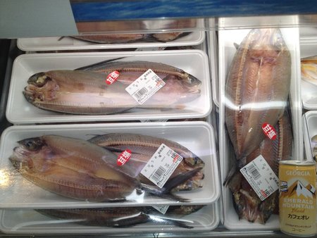 きゃーたすヤギ 阿南!やめてくれー!!