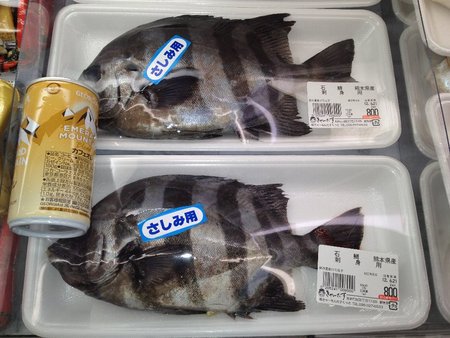 きゃーたすヤギ 阿南!やめてくれー!!