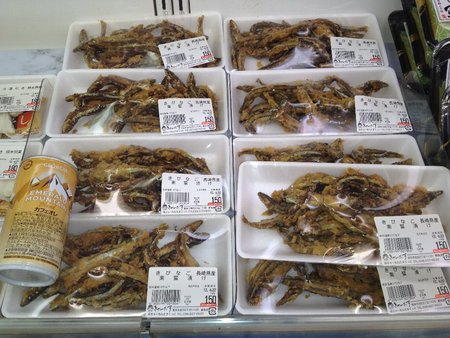 きゃーたすヤギ 阿南!やめてくれー!!