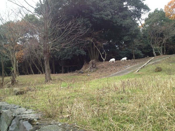 傷害事件発生! 犯人は、誰だ? きゃーたす