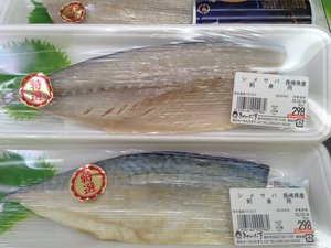 傷害事件発生! 犯人は、誰だ? きゃーたす