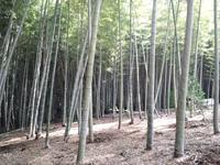 竹林コンサートの軌跡