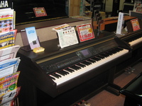 展示品処分CVP-401♪