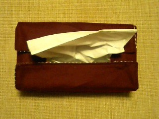 綿の種プレゼントに応募しませんか?
