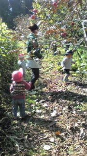 森と畑へお散歩ヾ(^ ▽^)ノ 2011/11/25 15:25:51