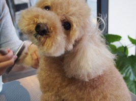 カメラ目線ばっちり!