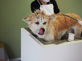 ♪今日もまったり♪