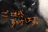 ~お知らせ~