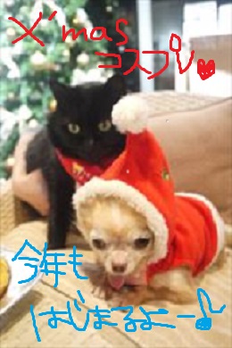☆クリスマスイベント☆お知らせ☆