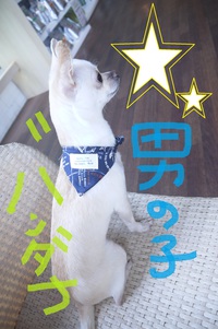 ~~イベントお知らせ~~